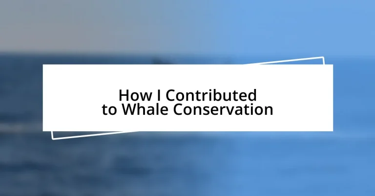 How I Contributed to Whale Conservation