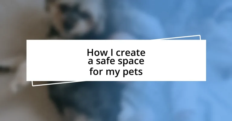 How I create a safe space for my pets