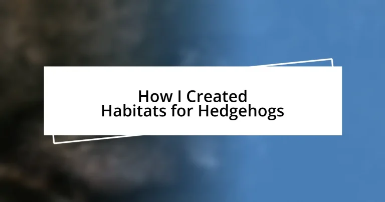 How I Created Habitats for Hedgehogs