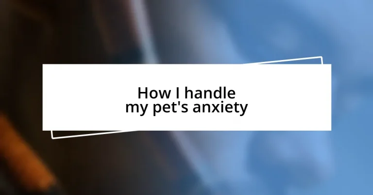 How I handle my pet’s anxiety