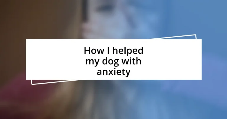 How I helped my dog with anxiety