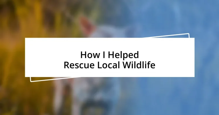 How I Helped Rescue Local Wildlife