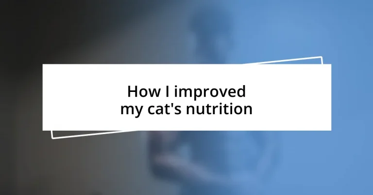 How I improved my cat’s nutrition