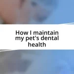 How I maintain my pet’s dental health