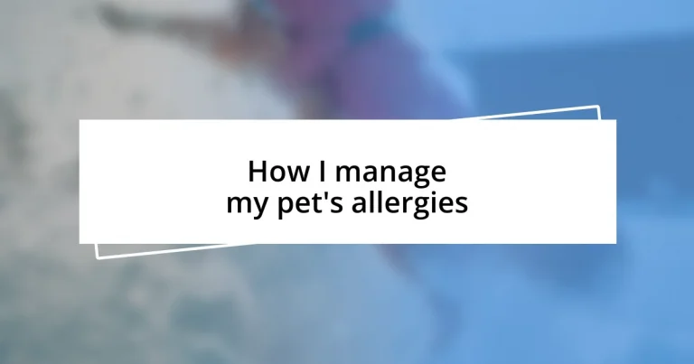 How I manage my pet’s allergies