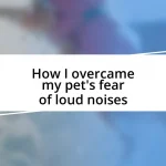 How I overcame my pet’s fear of loud noises