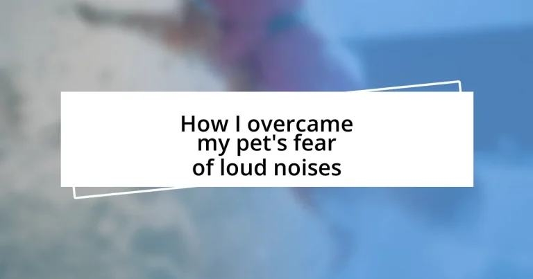 How I overcame my pet’s fear of loud noises