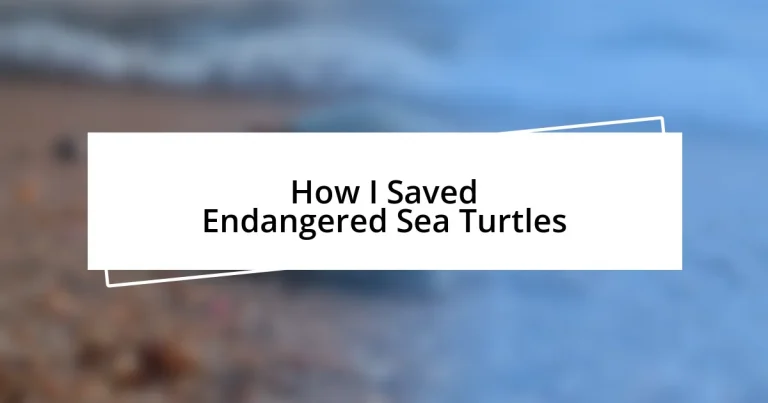 How I Saved Endangered Sea Turtles