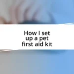 How I set up a pet first aid kit