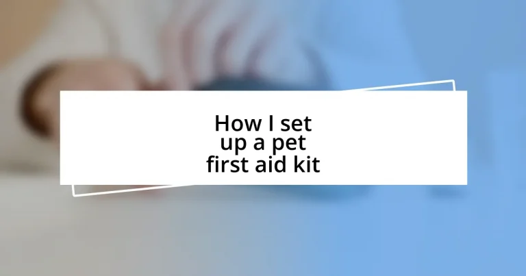 How I set up a pet first aid kit