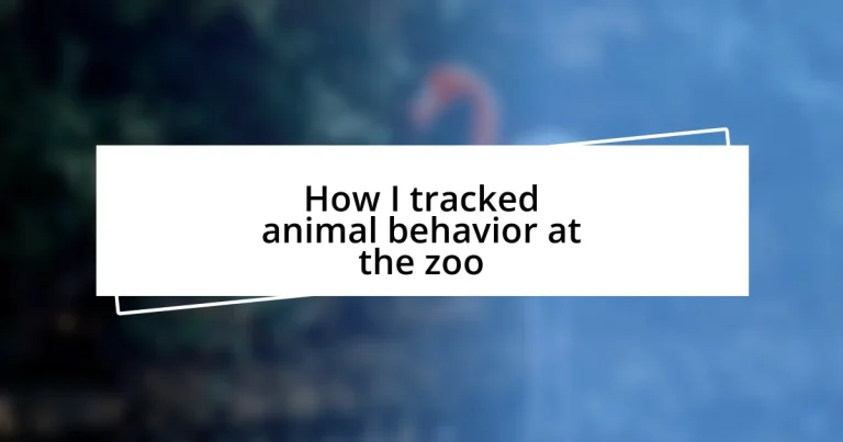 How I tracked animal behavior at the zoo