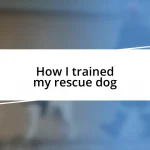 How I trained my rescue dog