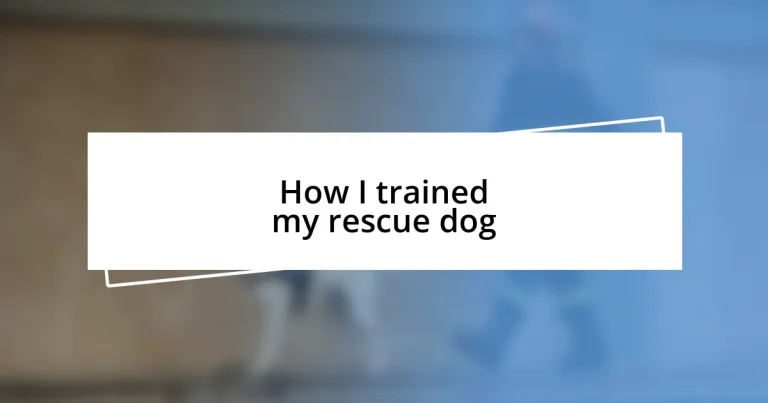 How I trained my rescue dog