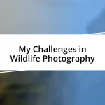 My Challenges in Wildlife Photography