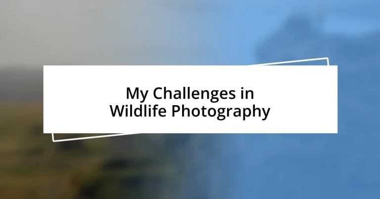 My Challenges in Wildlife Photography