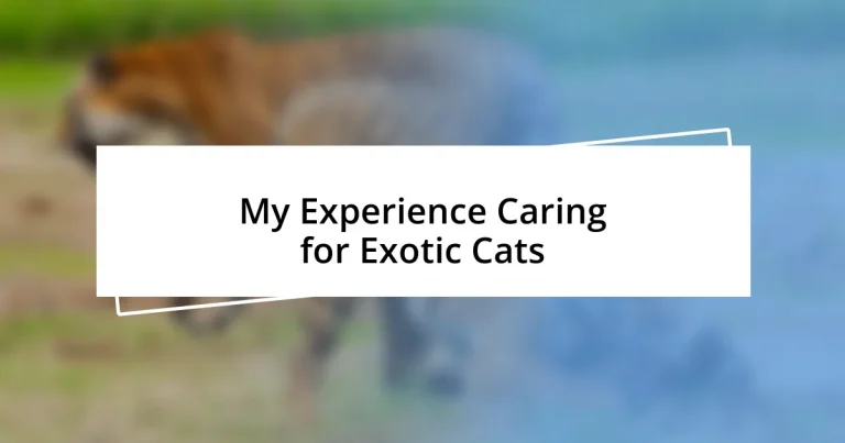 My Experience Caring for Exotic Cats