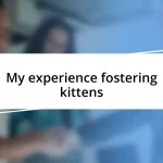 My experience fostering kittens