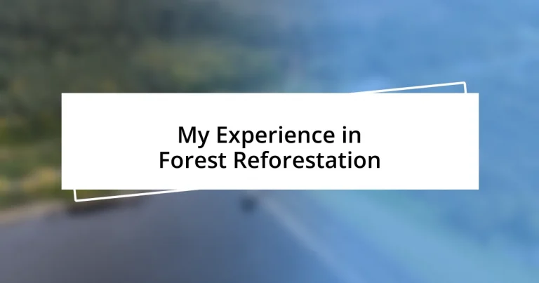 My Experience in Forest Reforestation