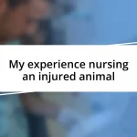 My experience nursing an injured animal