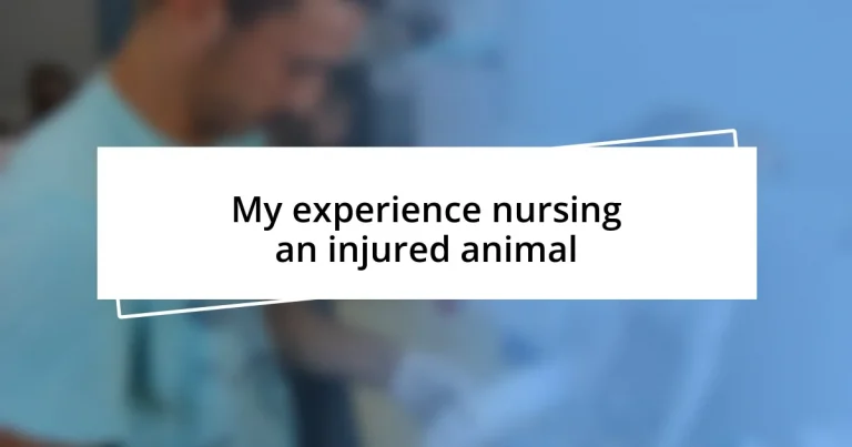 My experience nursing an injured animal