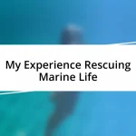 My Experience Rescuing Marine Life