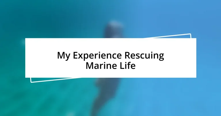 My Experience Rescuing Marine Life