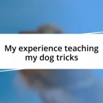 My experience teaching my dog tricks