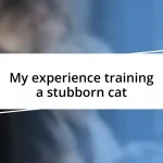 My experience training a stubborn cat