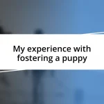 My experience with fostering a puppy