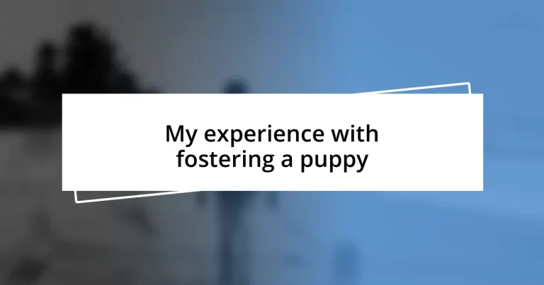 My experience with fostering a puppy