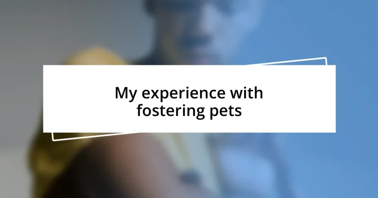 My experience with fostering pets