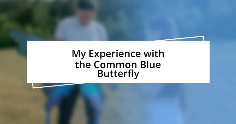 My Experience with the Common Blue Butterfly