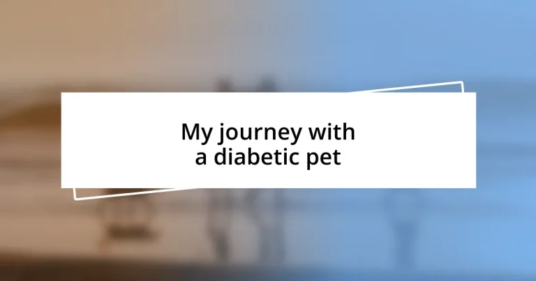 My journey with a diabetic pet