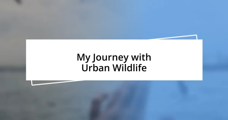 My Journey with Urban Wildlife