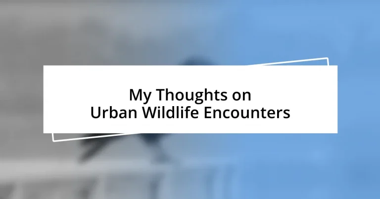 My Thoughts on Urban Wildlife Encounters