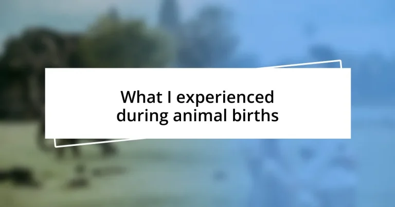 What I experienced during animal births