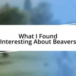 What I Found Interesting About Beavers