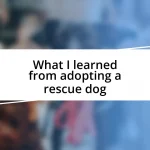 What I learned from adopting a rescue dog