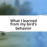 What I learned from my bird’s behavior