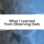 What I Learned from Observing Owls