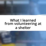 What I learned from volunteering at a shelter