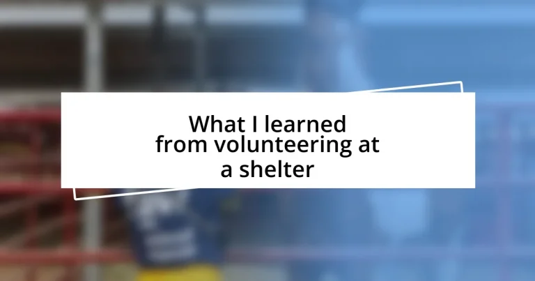 What I learned from volunteering at a shelter