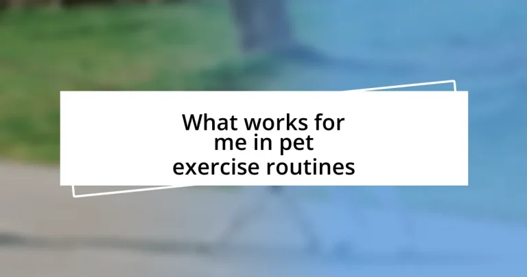 What works for me in pet exercise routines