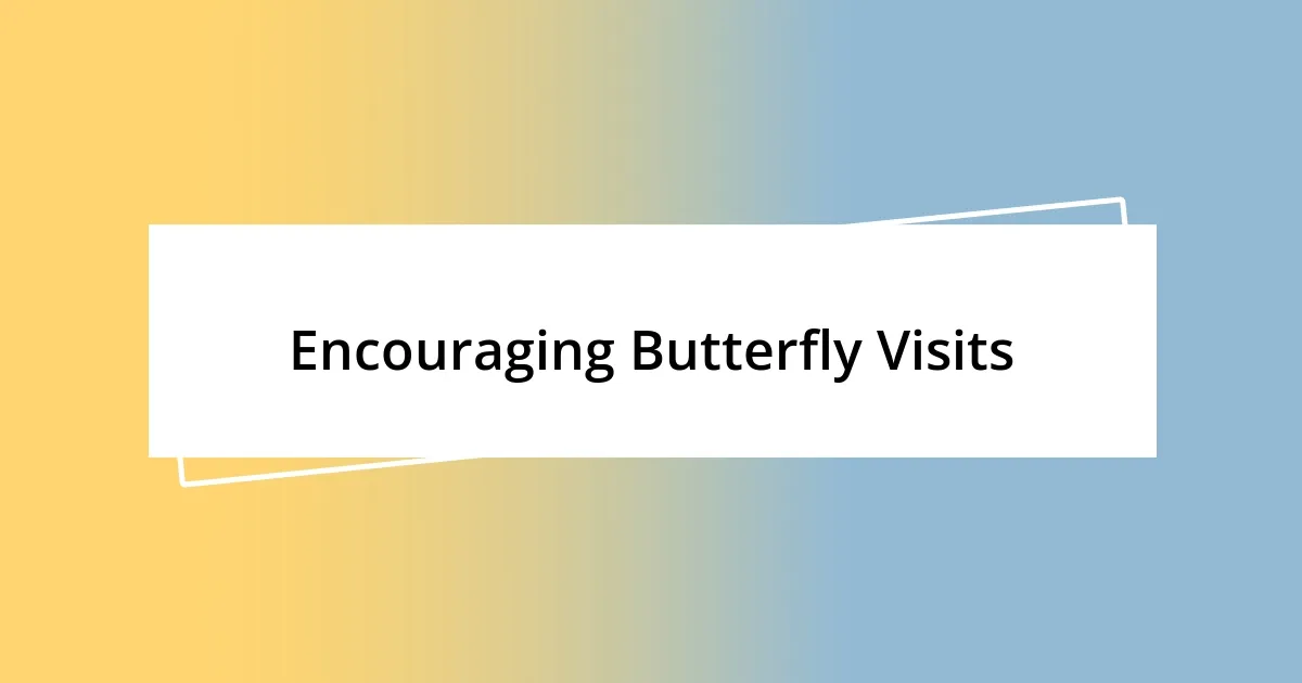 Encouraging Butterfly Visits