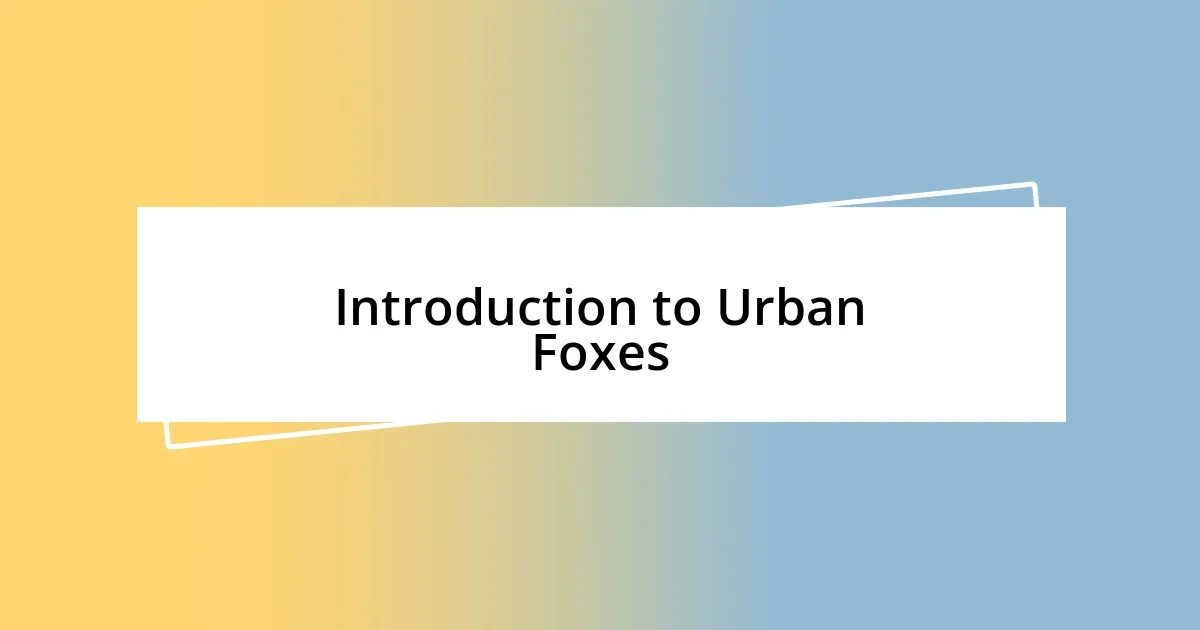 Introduction to Urban Foxes