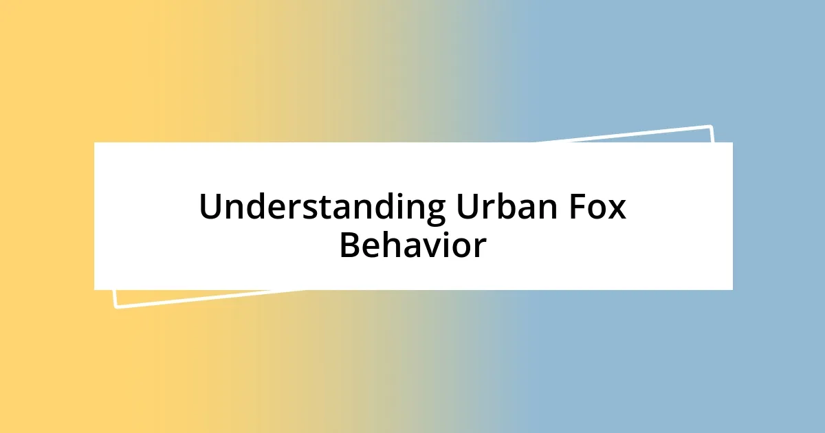 Understanding Urban Fox Behavior