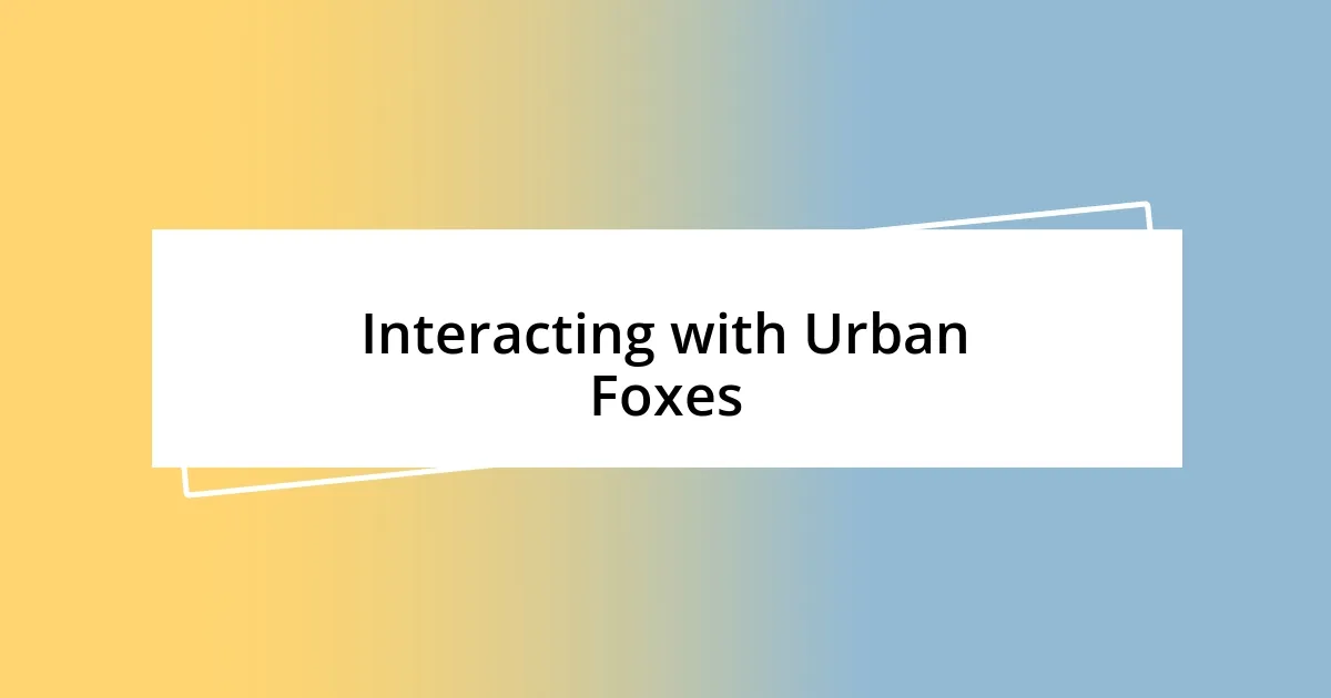 Interacting with Urban Foxes