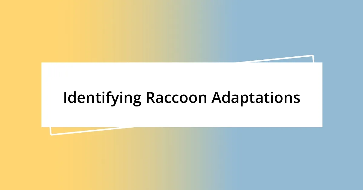 Identifying Raccoon Adaptations