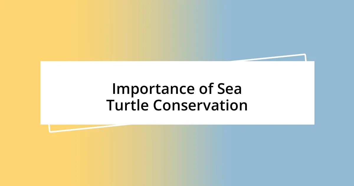 Importance of Sea Turtle Conservation