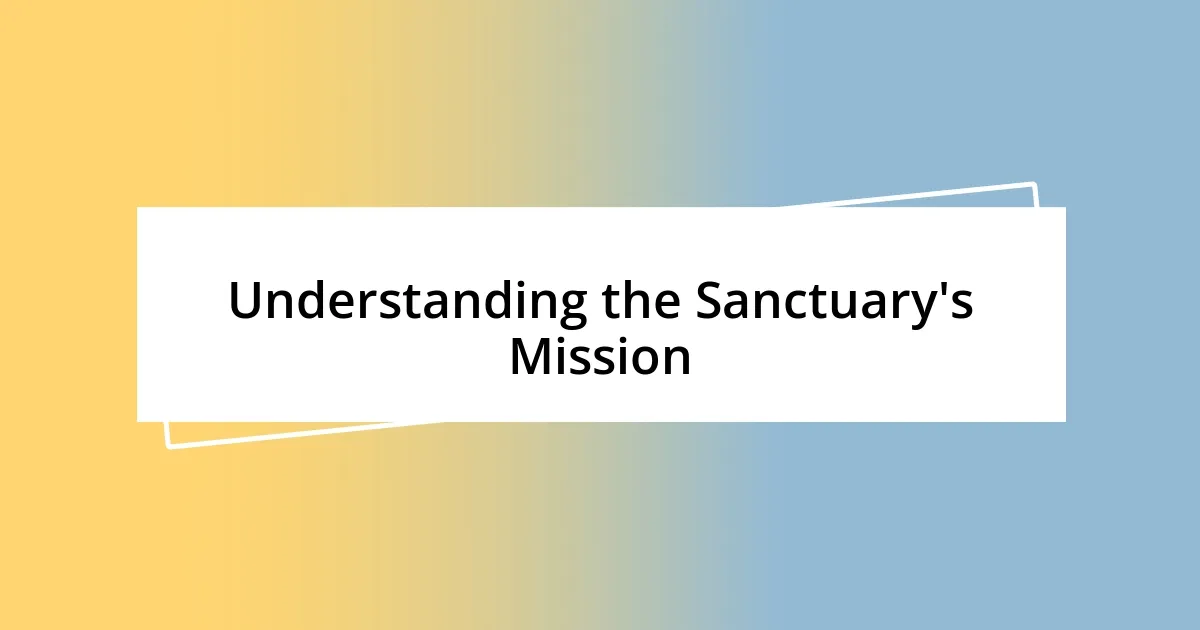 Understanding the Sanctuary